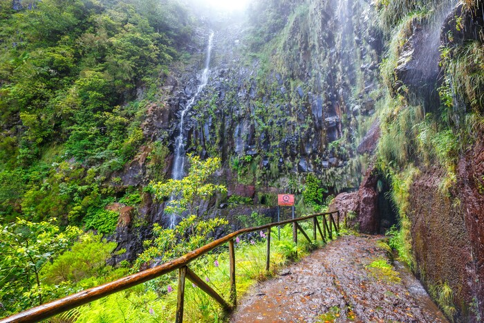 Levada das 25 fontes : guide pour une randonnée